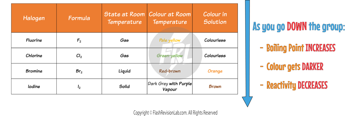 Halogen Table